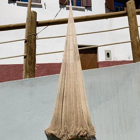 O Medronheiro